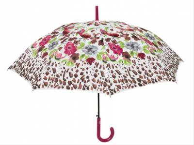 gallery/images-Imagen4